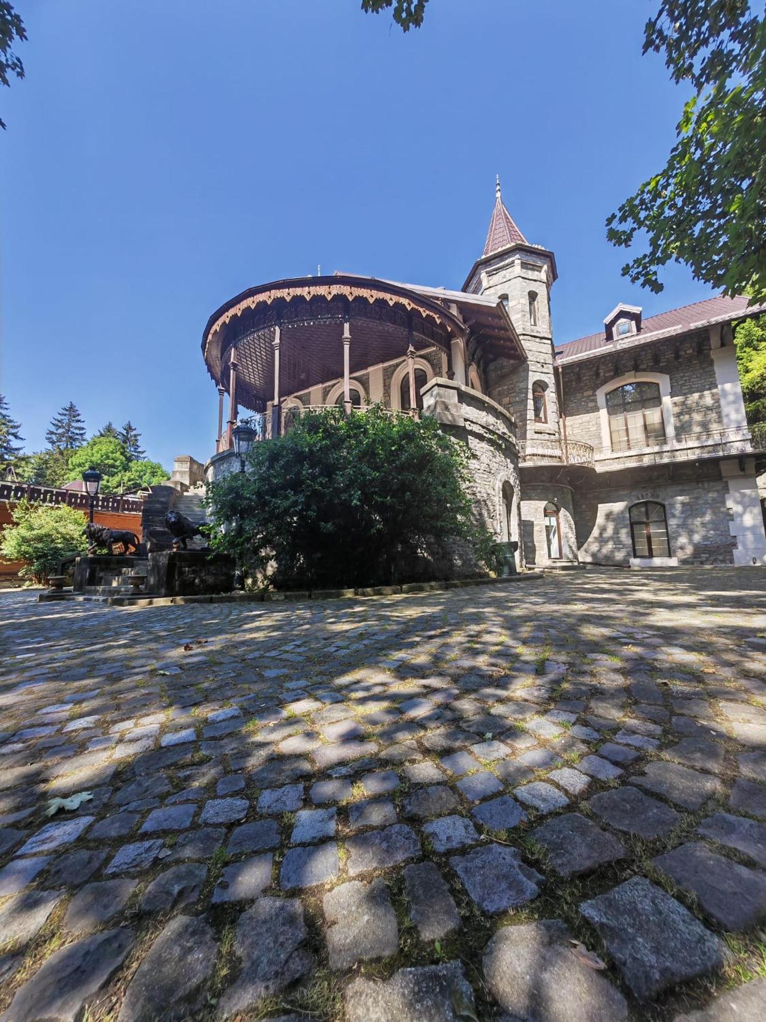Castelul Stirbey Hotel Sinaia Exterior photo